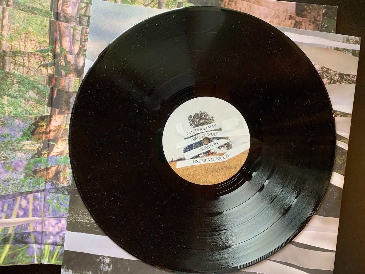Dischi in vinile: Bibio ‎– Ribbons – Usato da Fribourg venduto da jimiJ13 2