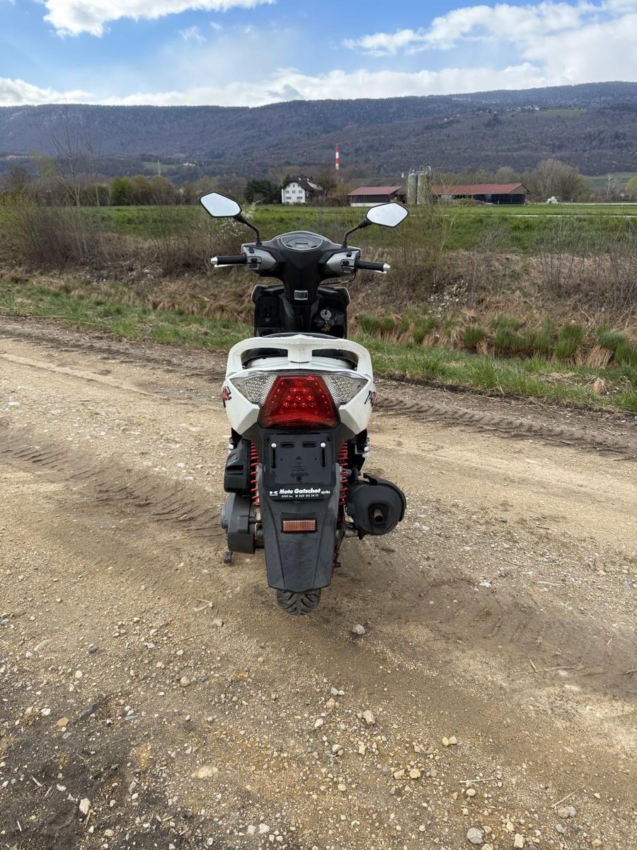 Pgo Scooter: Roller – Usato da Gals venduto da markus9785 5
