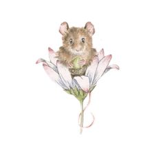 Profile image of nayladary