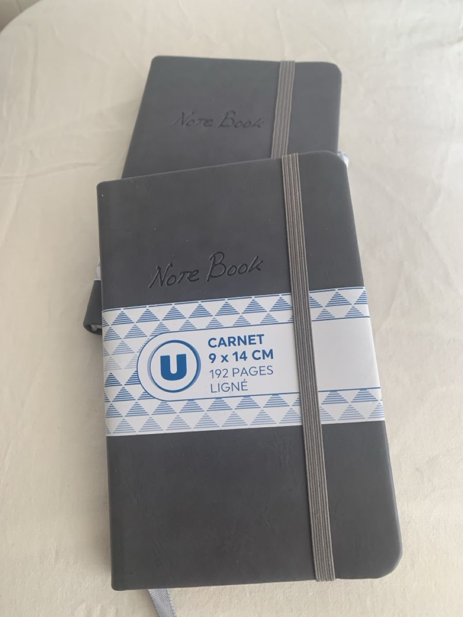 Schreibblöcke: 2 Notebooks (9x14cm), 192 pages lined new – Neu (gemäss Beschreibung) aus Immensee von vgitter