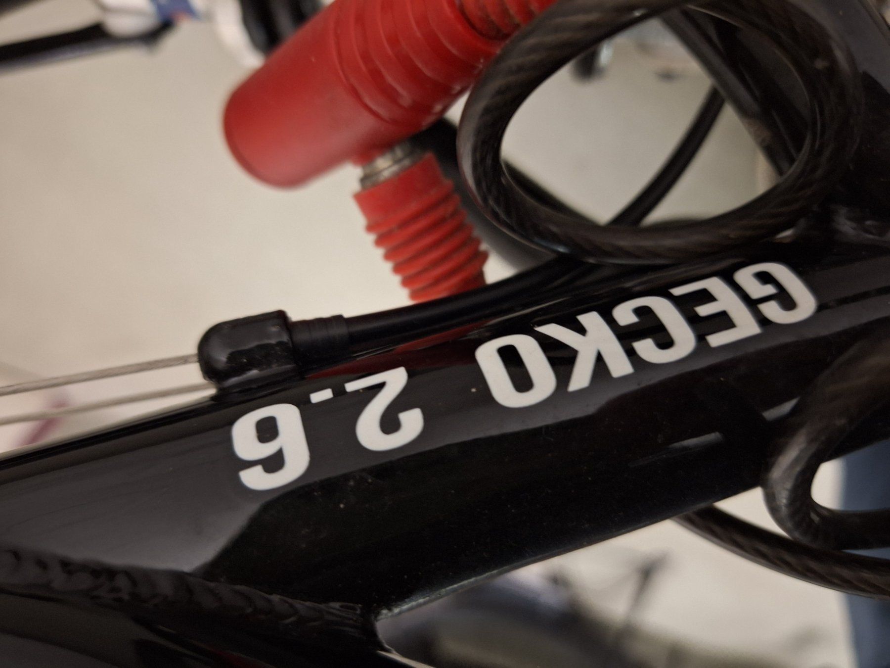 Biciclette: Fahrrad – Usato da Buttikon SZ venduto da guggumere 3