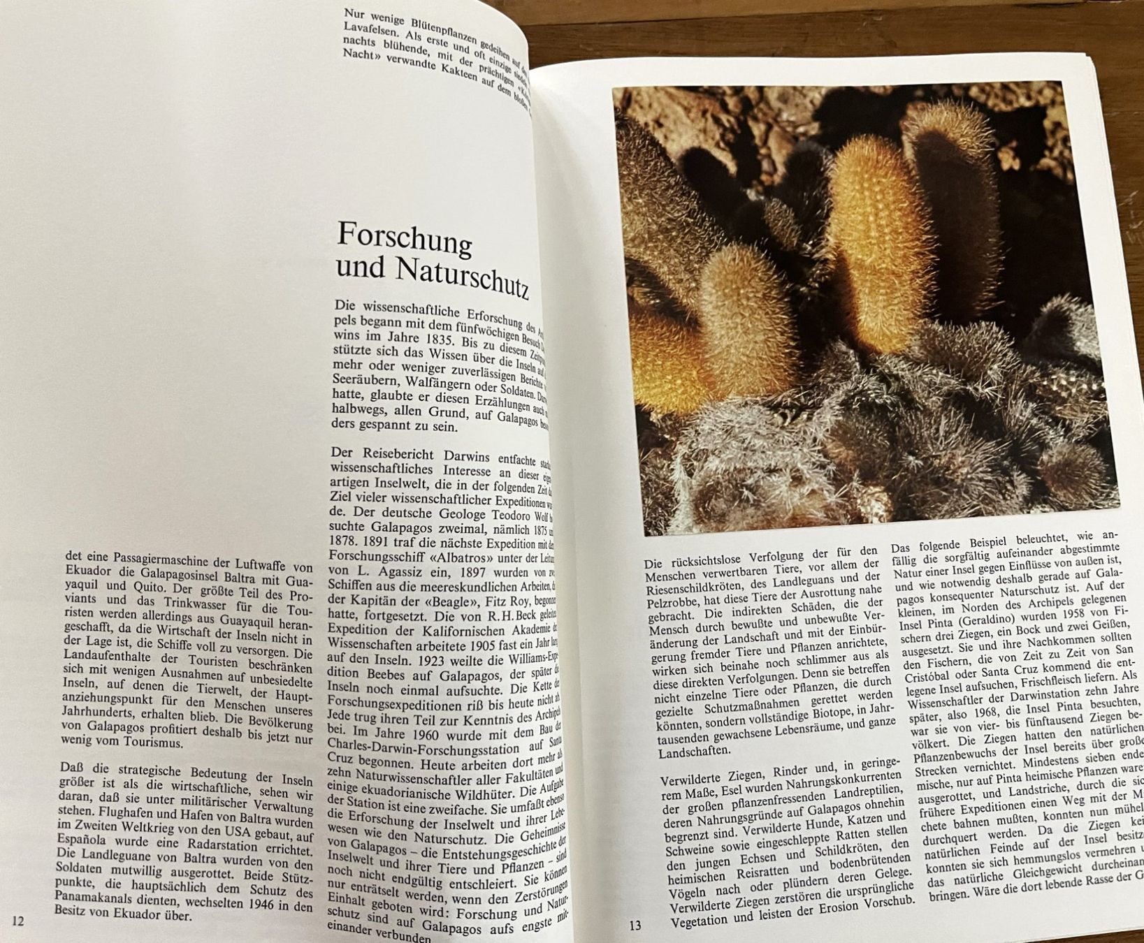 Libri: Silva Verlag, Zoo Galapagos, 1973 – Usato da Oftringen venduto da Vucki 4