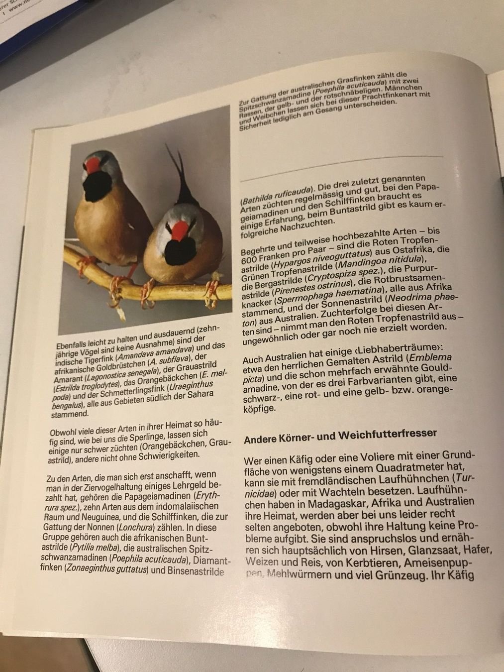 Livres: Unsere Heimtiere – D'occasion à Guntershausen par Gloominati 1