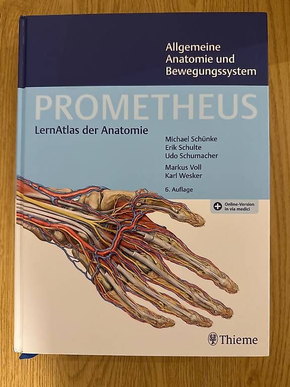 Libri: Prometheus Lernatlas der Anatomie, 6. Auflage – Usato da Grellingen venduto da lyd_vy9s