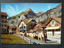 KANDERSTEG Hotel, Schuhmacherei, Alpabfahrt, Sennen, Kühe