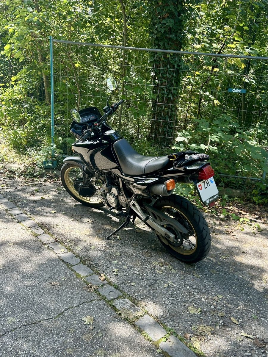 Honda Enduro: Honda NX 650 Dominator – Gebraucht aus Zürich von edynox 2