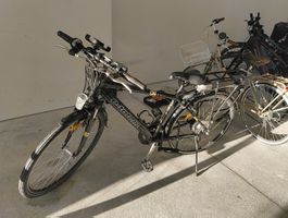 E Bike Totem