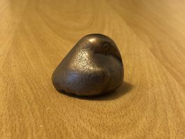 Turgi Bronze BAG, Hornvogel sitzend