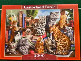 Puzzle HOUSE OF CATS  2000 Teile
