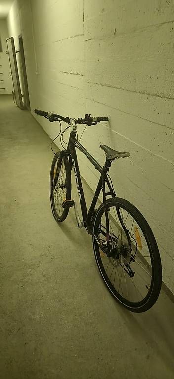 Velos: Focus Mountainbike – Gebraucht aus Wohlen AG von ste_w55b