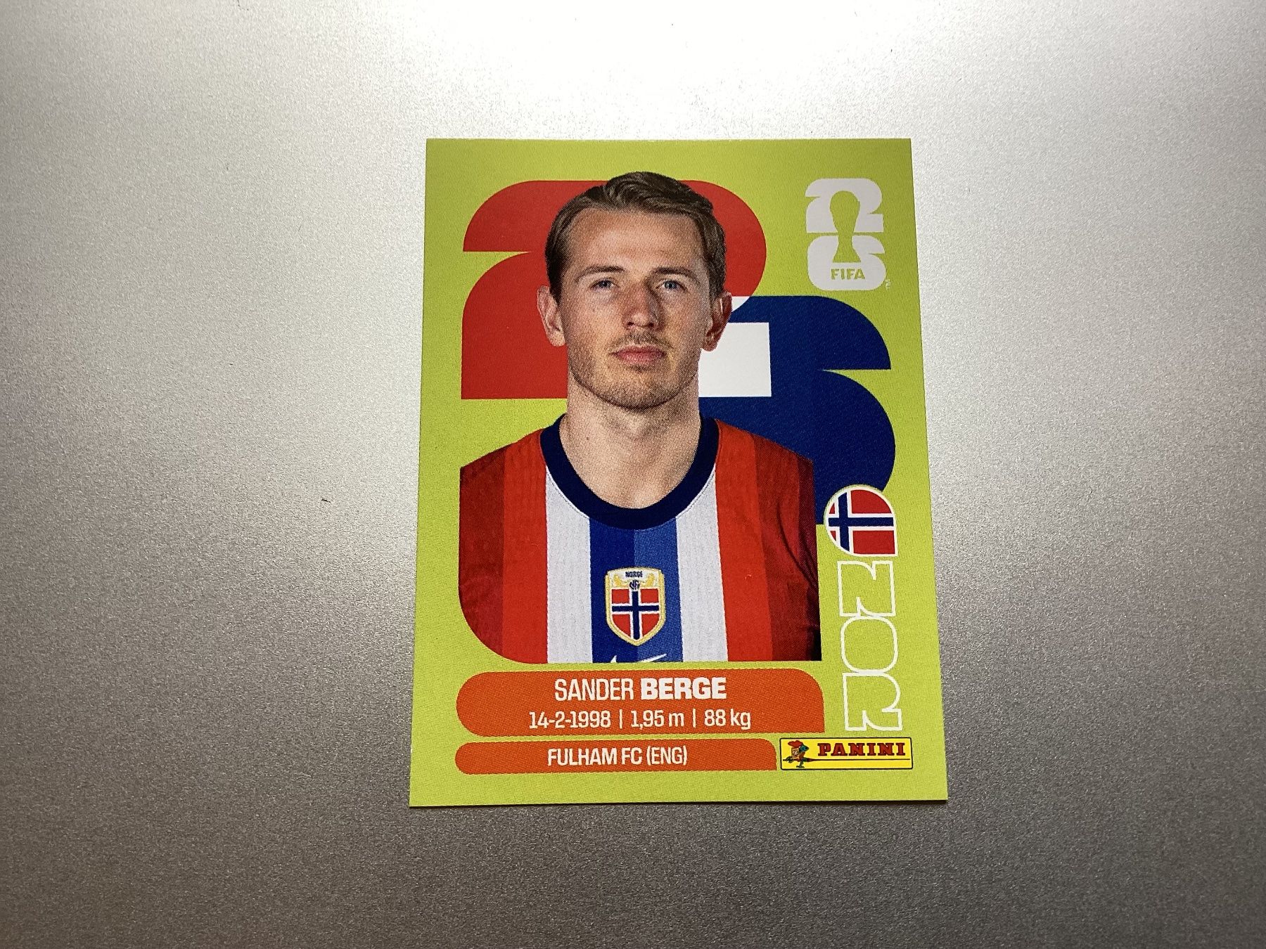 Panini Carte collezionabili: Fussball Bild Panini Sander Berge – Usato da Volketswil venduto da Stf801210