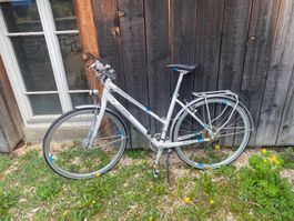 Specialized Damenvelo - ideal für Frühlingsausflüge