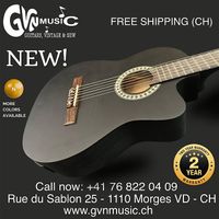 Gewa Electro-Acoustic Classical Guitar Super Versatile!
