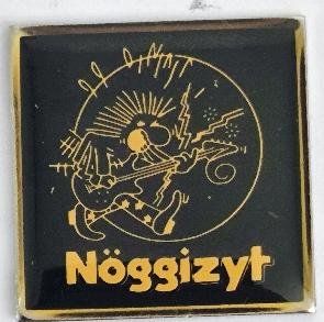 Placchette & Badge: Pin  Nöggizyt – Usato da Pfäffikon ZH venduto da Colacity