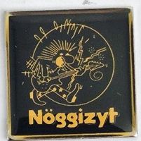 Pin  Nöggizyt