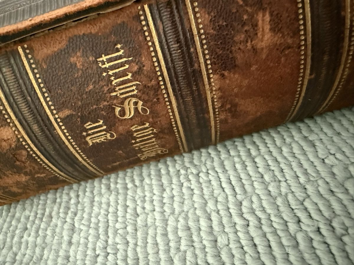 Libri: ////Antike Luther Bibel von 1883 //// – Usato da Birmenstorf AG venduto da Pat_roll 1