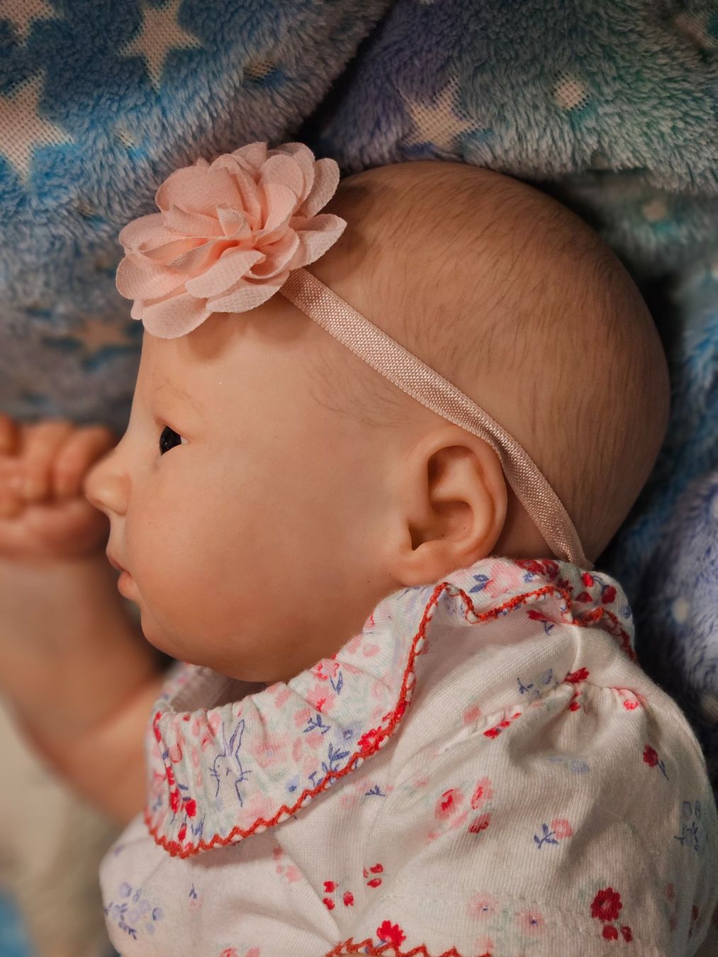 Reborn Bambole: Rebornbaby Mary – Usato da Beringen venduto da Sternschnappi 5