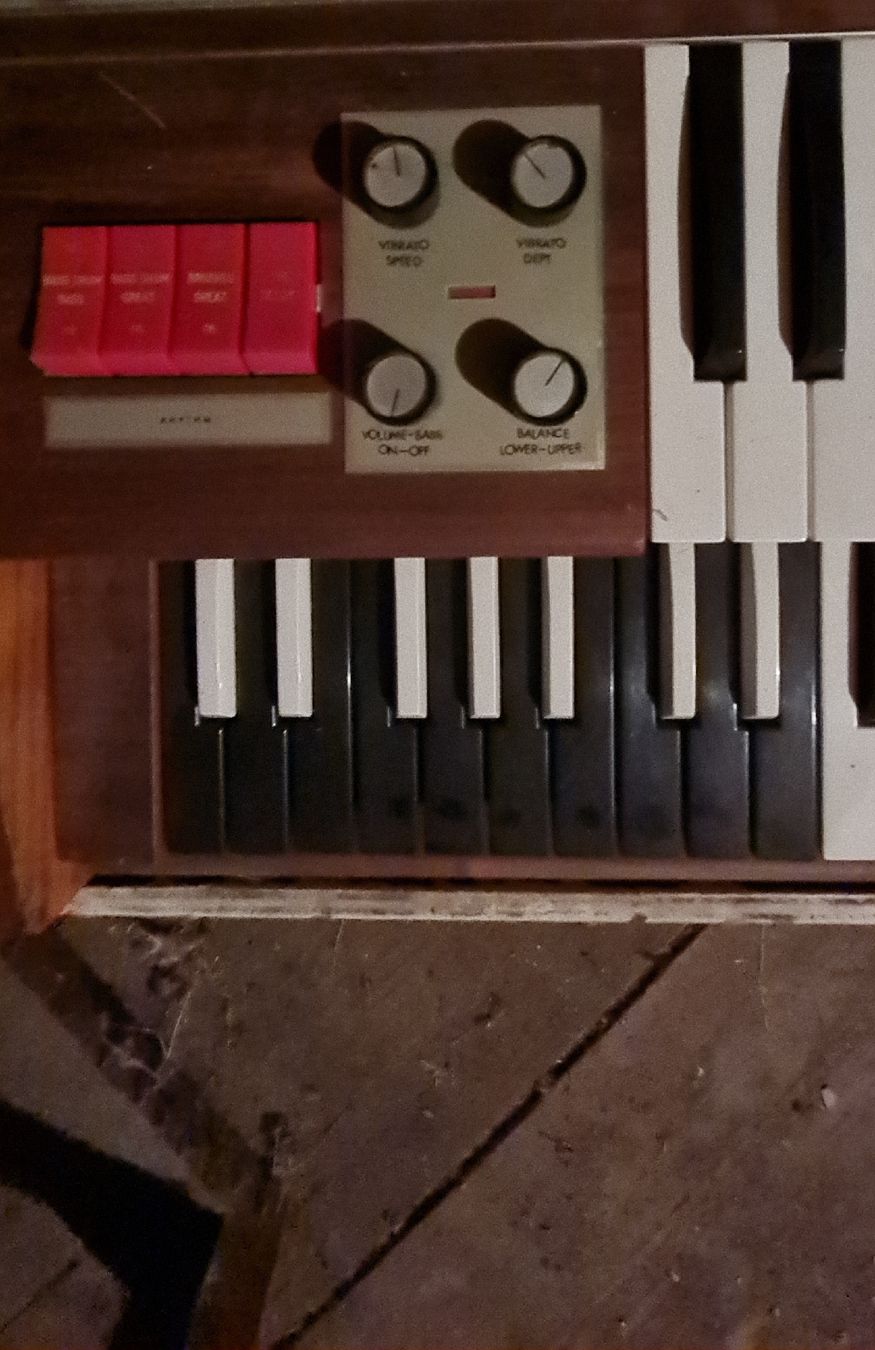 Strumenti musicali: Alte GEM Orgel aus den 60' – Difettoso da Campocologno venduto da Arte2108 6