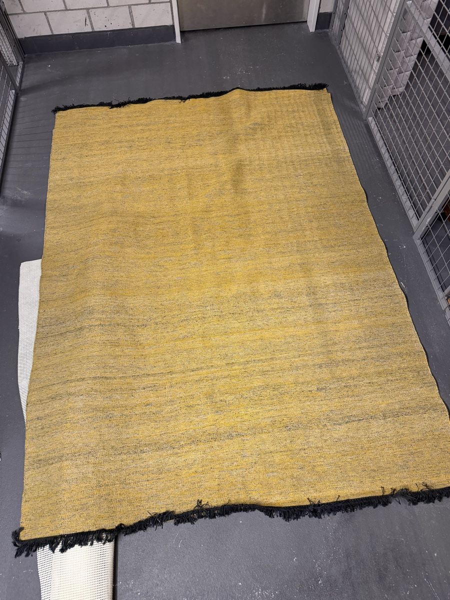 Pfister Tappeti: Teppich Pfister 170 x 240cm – Usato da Zürich venduto da z00mie 3