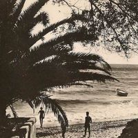 Must Have Been Tokyo - Vice (Digipack)