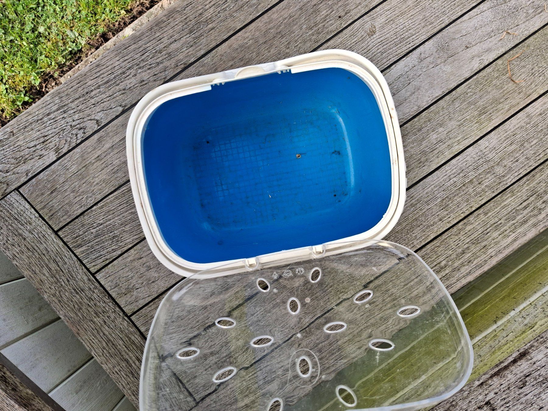 Ferplast Gabbie, trasporto & Sicurezza: Gebrauchte Ferplast Aladino Transportbox Medium, Blau – Usato da Walterswil SO venduto da peiper2 1