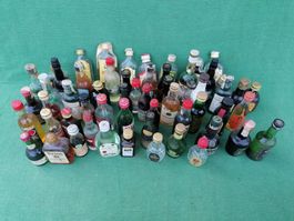 Sammlung Miniaturflaschen gemischt diverse Marken 45 Stück