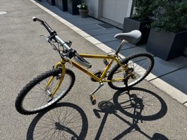 Nakamura Kindervelo