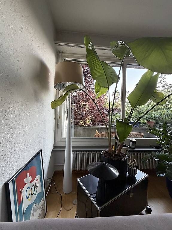 Lampen: Cairo Designer Stehleuchte weiss – Gebraucht aus Bern von gregnenn