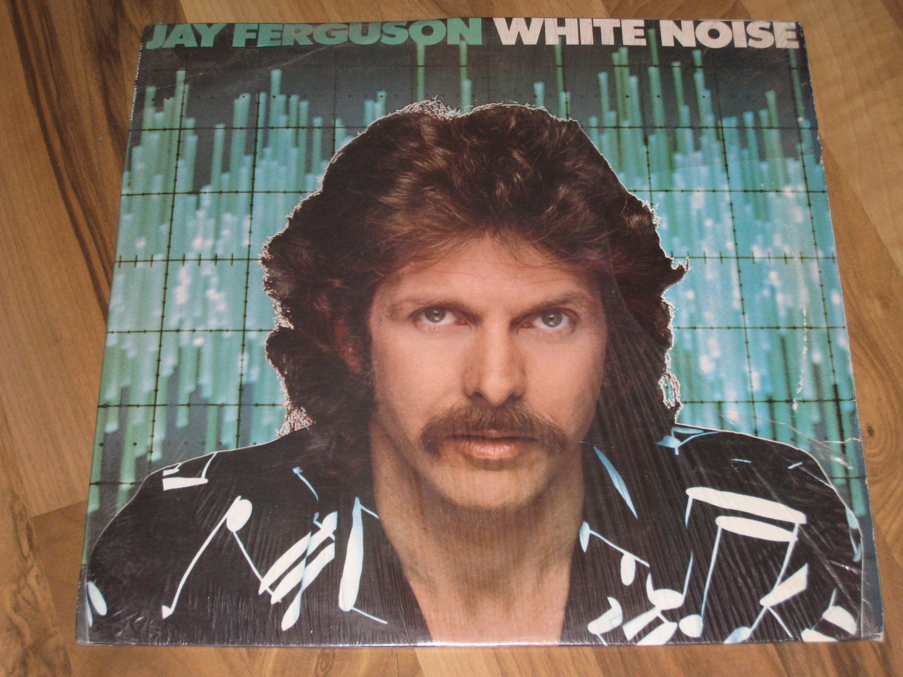 Dischi in vinile: LP - JAY FERGUSON - WHITE NOISE – Usato da Steckborn venduto da Quo7