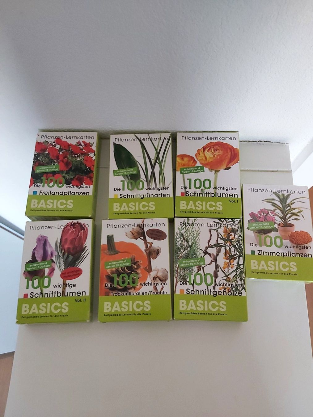 Autres fournitures scolaires: Bloom's Pflanzenlernkarten Basics – D'occasion à Möhlin par wildm1