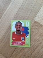 Panini WM 2026, PAN 7, Davis