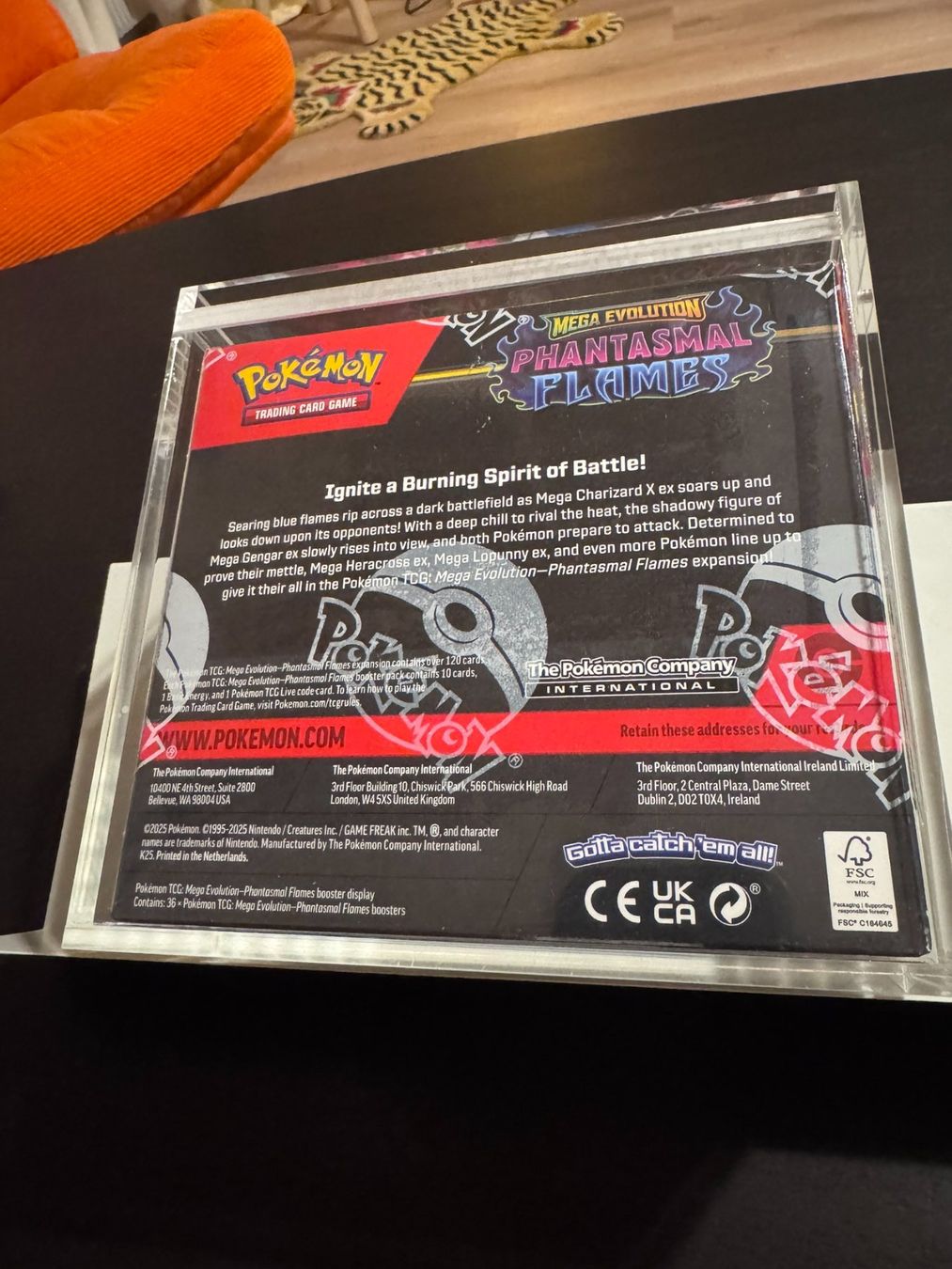 Pokémon Carte collezionabili: SEALED DISPLAY Pokémon Phantasmal Flames + protective case – Usato da Biel/Bienne venduto da LordFinds 2