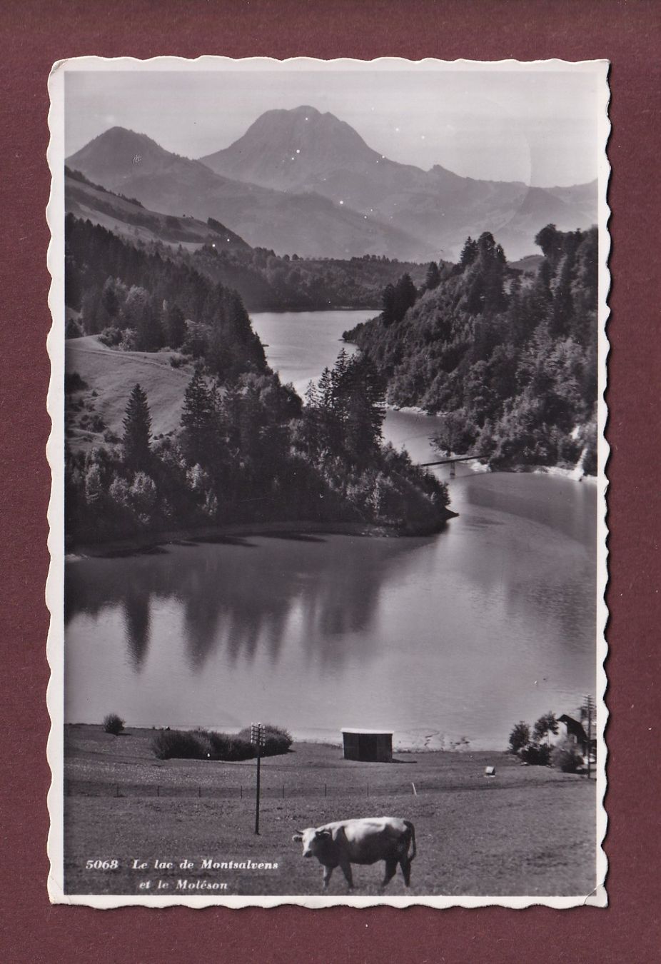 Cartoline postali: Lac de MONTSALVENS - Moléson - Vache - 1945 – Usato da Pully venduto da nicecards
