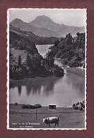 Lac de MONTSALVENS - Moléson - Vache - 1945