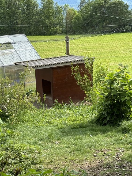 Solides, selbstgebautes Hundehaus | Kaufen auf Ricardo