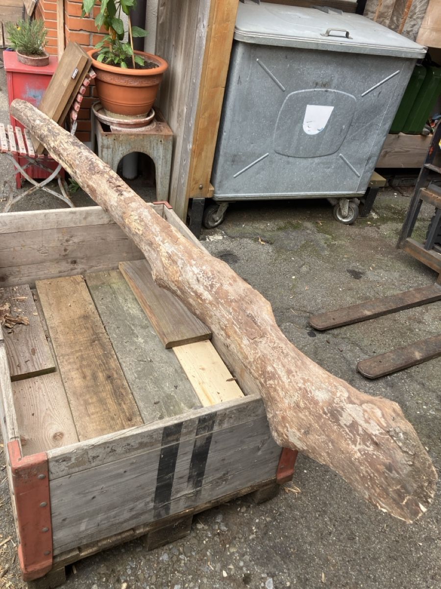 Holzartikel: Birke holz – Gebraucht aus Burg AG von ala_cx8x 2