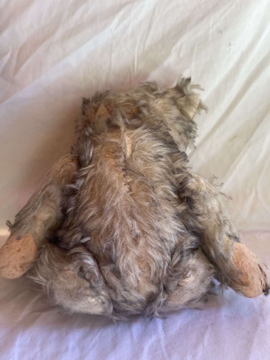 Spielzeuge: Antiker Teddybär 🧸  – Gebraucht aus Brienz BE von hey_z9vg 4