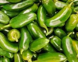 🌶 10 STK FRISCHE JALAPEÑO MILD SCHARF CHILI 🌶  10 PCS‪