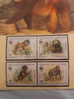 Rare! Cameroun WWF Singes Mandrills, lot de 4 timbres