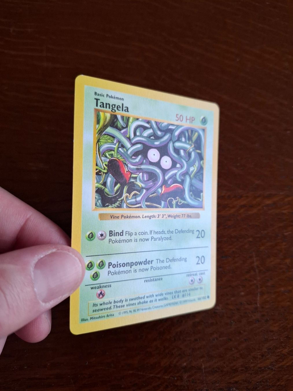 Pokémon Carte collezionabili: Pokemon Tangela Base Set Shadowless 66/102 – Usato da Giornico venduto da ale_lc8k 2