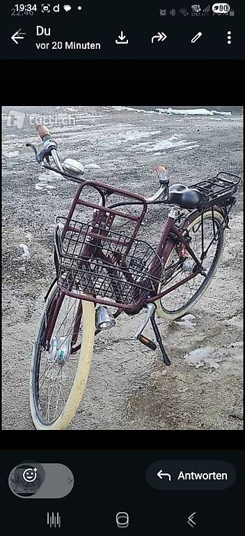 Biciclette: Elektro Velo – Usato da Ballwil venduto da Karinjuon 1