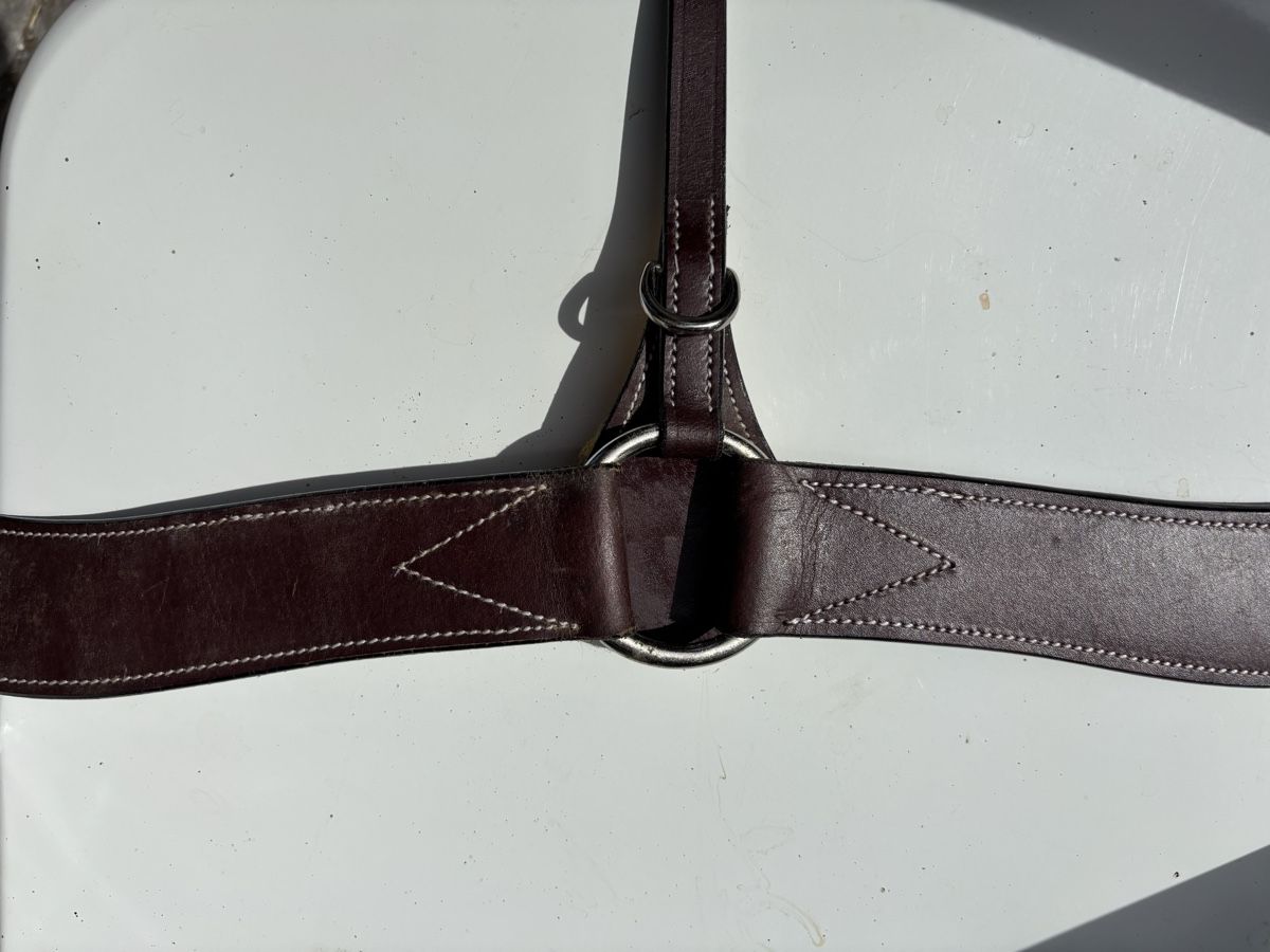 Selle & Accessori: Westernvorderzeug – Usato da St. Gallen venduto da may_8fbd 1