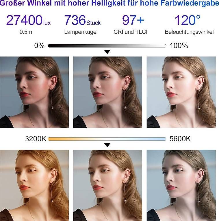 Lampade: Videolicht Panel mit Softbox, 45W LED – Usato da Bern venduto da Kvinikadze87 4