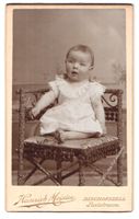 Fotografie Heinrich Miester, Bischofszel