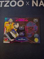 Hollenstein // Puck Stoppers // 14/75 // HCD // HC DAVOS