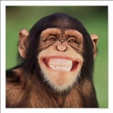 Profile image of JayJays333