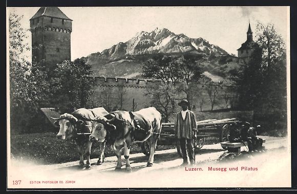 Cartoline postali: AK Luzern, Musegg und Pilatus – Usato da Berlin venduto da bartko-reher