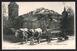 AK Luzern, Musegg und Pilatus