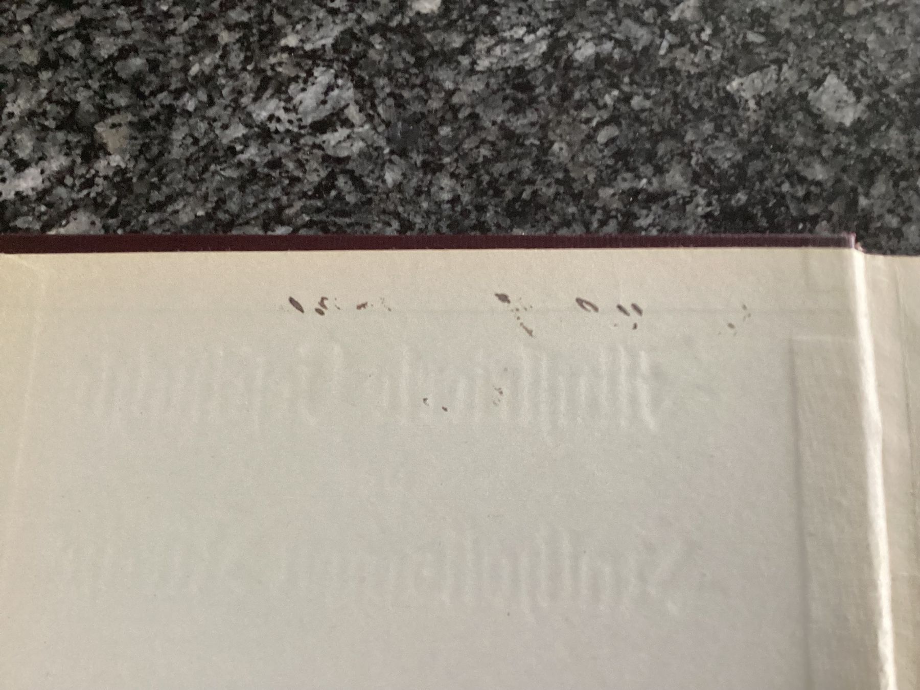 Libri: Illustrierte Geschichte der Katholischen Kirche, 1927! – Usato da Schöfflisdorf venduto da seahorse61 6