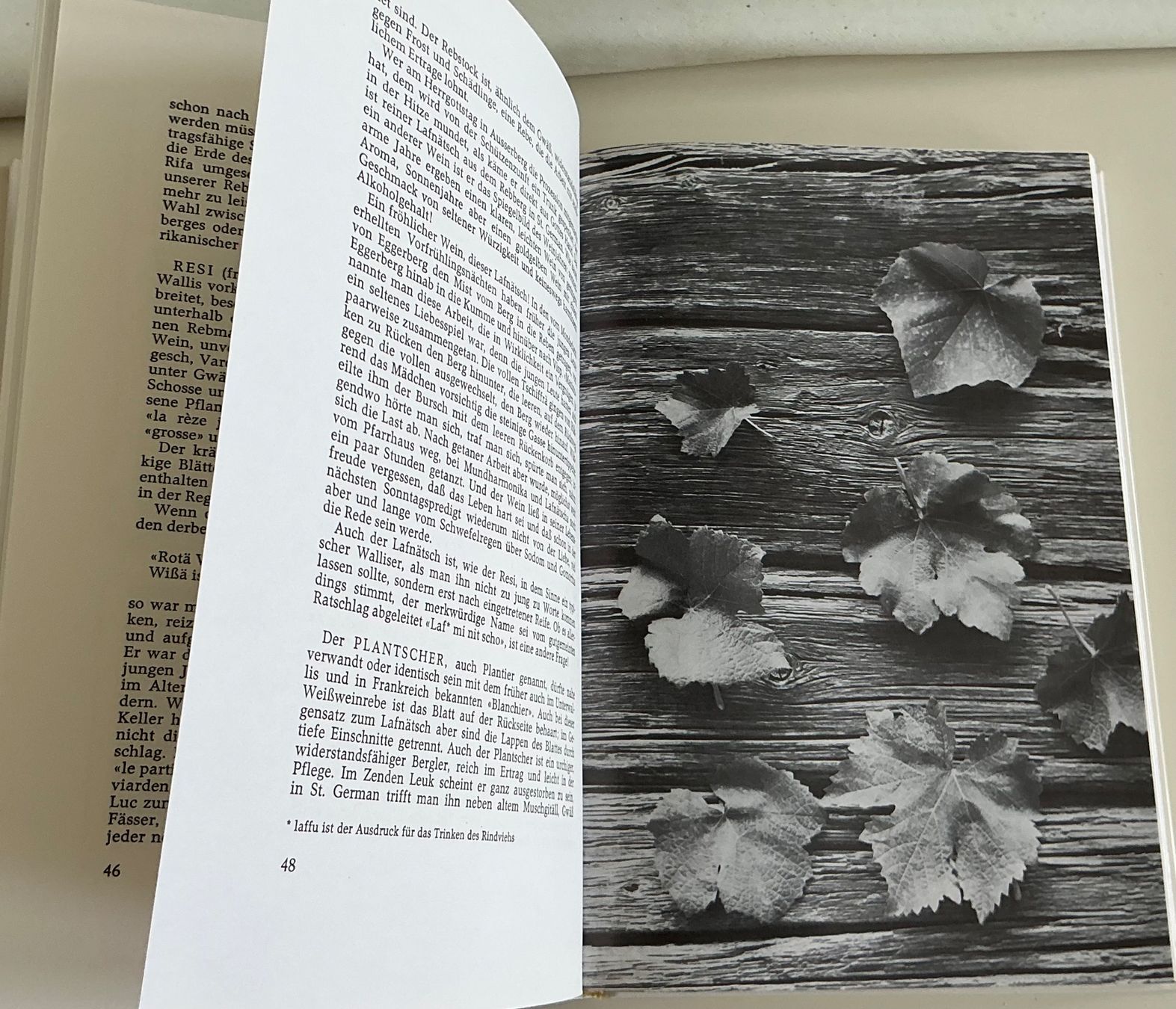 Libri: Weinbuch "Der Wein im Oberwallis" 1972 – Usato da Crans-Montana venduto da plainemorte 4